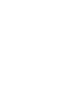 logo footer