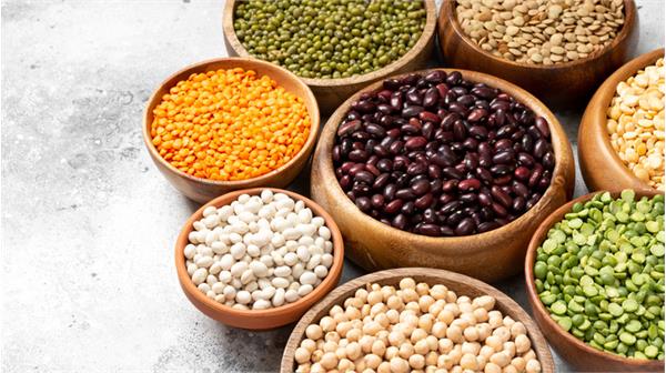 اتفاق نظر اعضای هیأت مدیره انجمن حبوبات برای اداره بازار حبوبات کشور